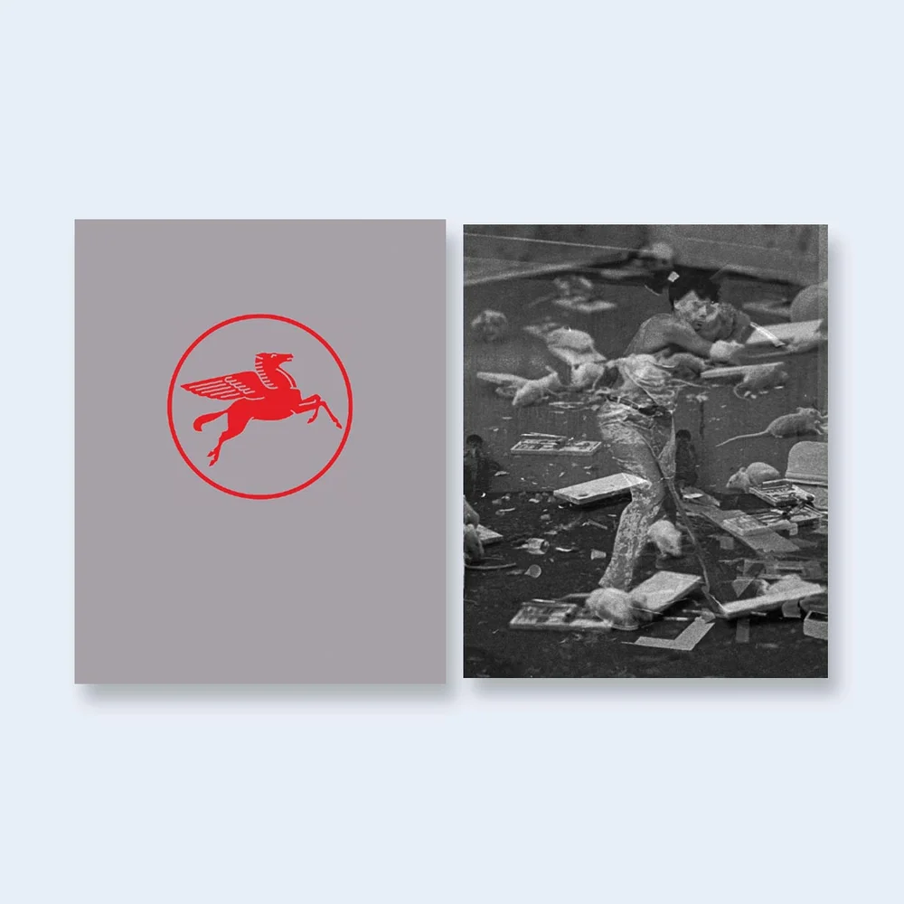 ROBBERT FLICK | LA Diary — Nazraeli Press